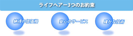 ���C�t�w�A�[�R�̖�